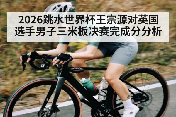 2026跳水世界杯王宗源对英国选手男子三米板决赛完成分分析